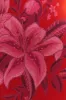 Red Summer Fruit Lenzing™ Ecovero™ Viscose Maxi Dress sold by FARM Rio