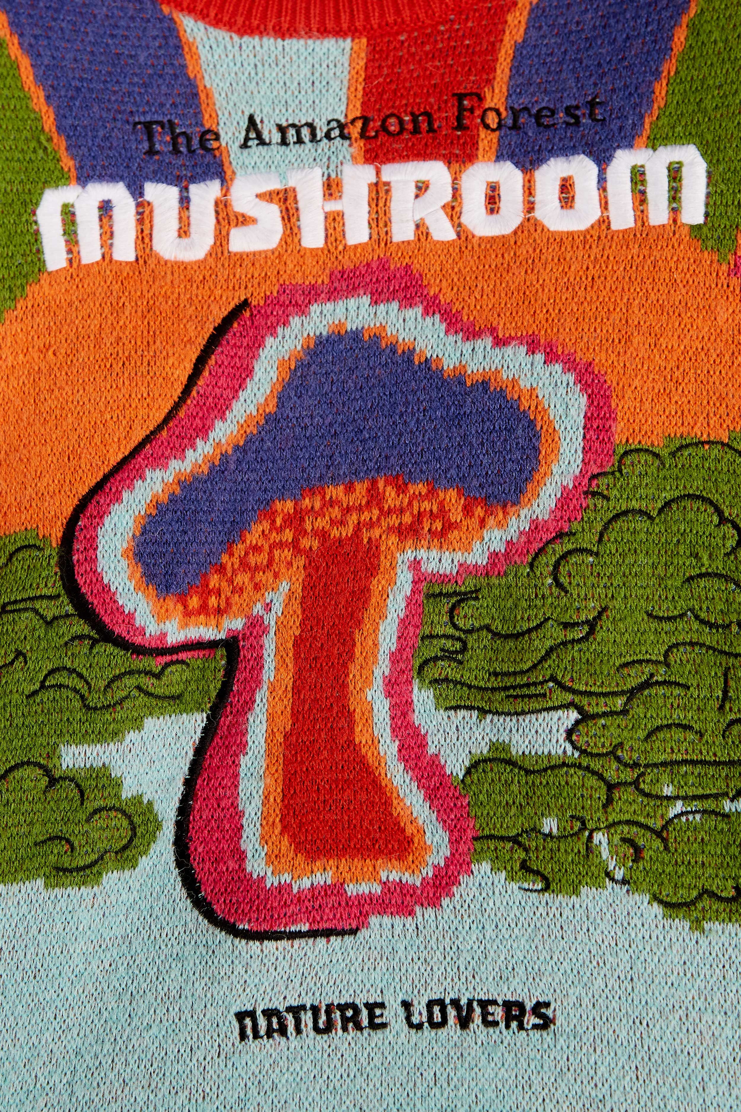 Amazon Mushroom Embroidered Sweater sold by FARM Rio product image thumbnail 4