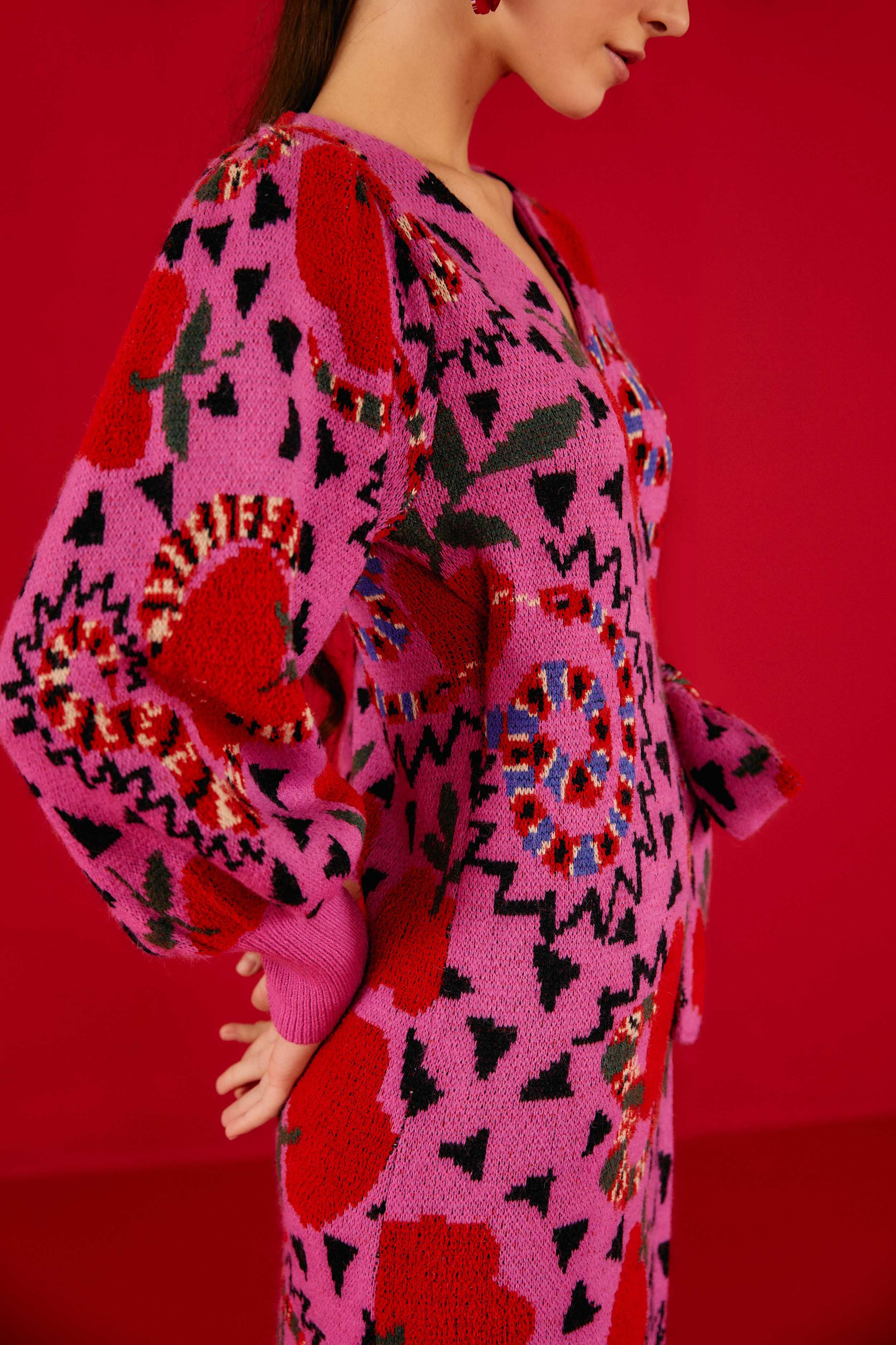 Pink Snake Fruit Sweater Dress sold by FARM Rio product image thumbnail 2