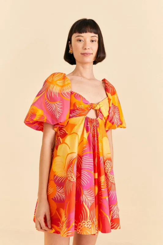 Summer Garden Ombre Mini Dress sold by FARM Rio
