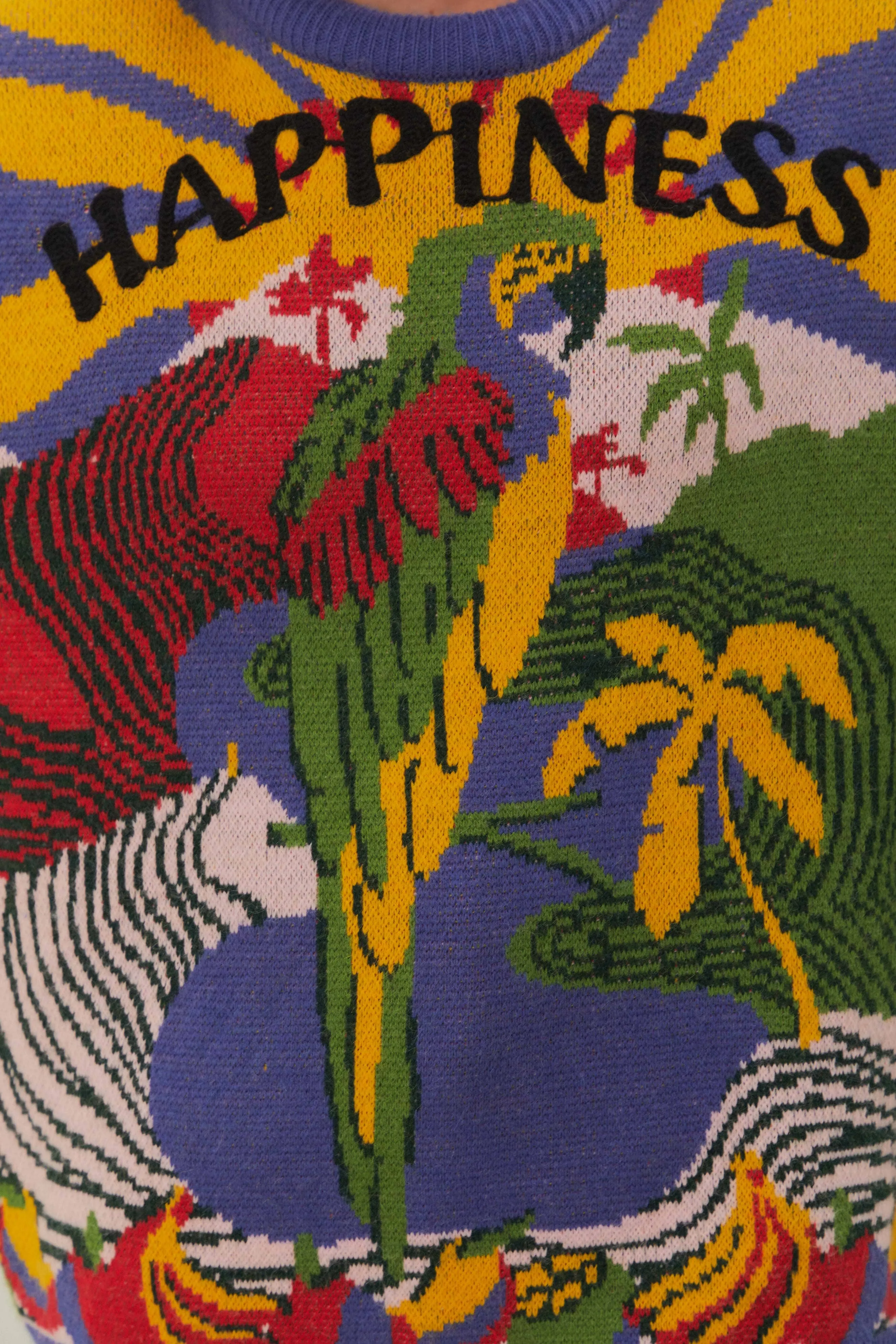 Happiness Sweater sold by FARM Rio product image thumbnail 5