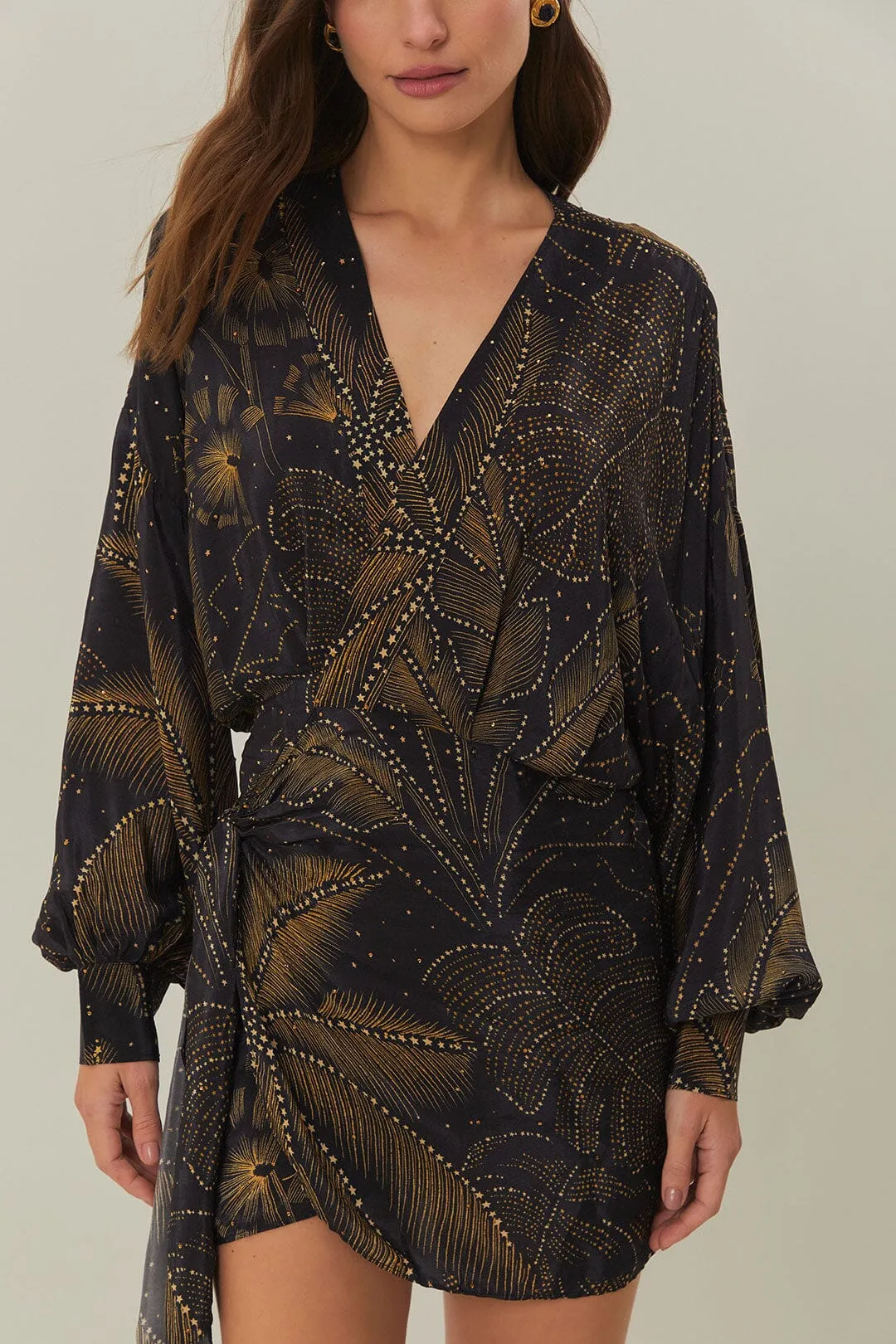 Black Golden Foliage Mini Dress sold by FARM Rio product image thumbnail 3