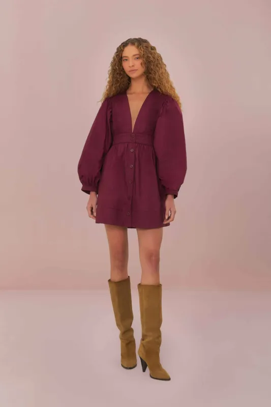Burgundy Puff Sleeve Mini Dress sold by FARM Rio