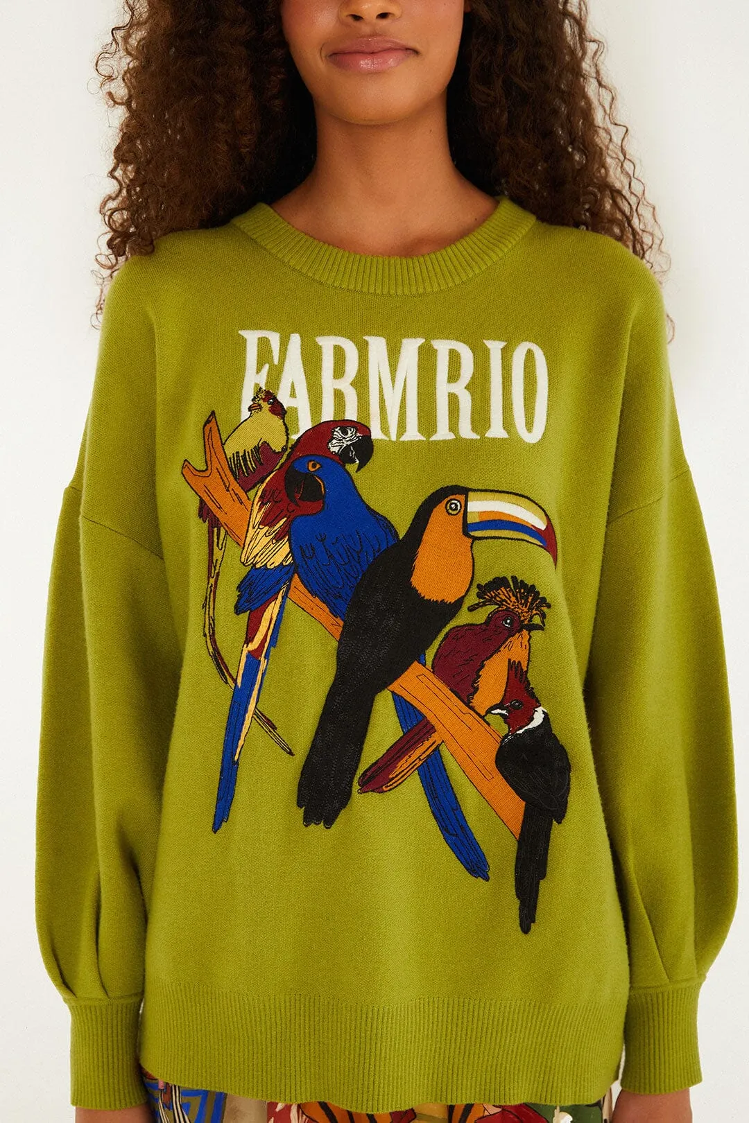 Green Nature Lovers Embroidered Sweater sold by FARM Rio product image thumbnail 2