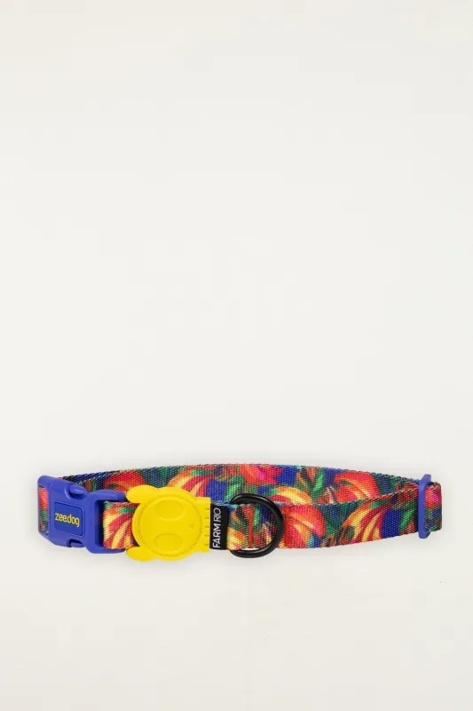 Zeedog Farm Samba Collar - Size S sold by FARM Rio