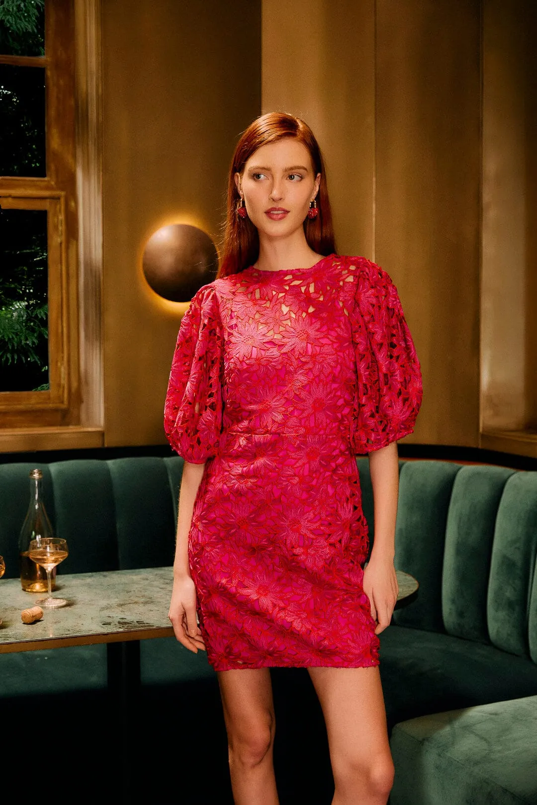 Pink Flowered Lace Puff Sleeve Lined Mini Dress sold by FARM Rio