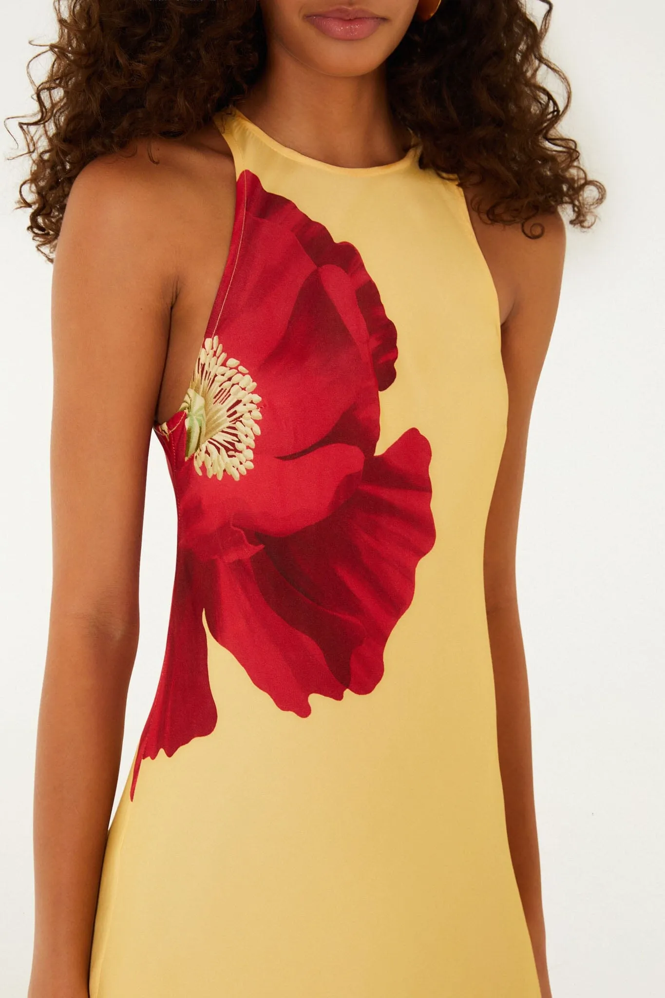 Light Yellow Poppy Flowers Sleeveless Maxi Dress sold by FARM Rio product image thumbnail 2