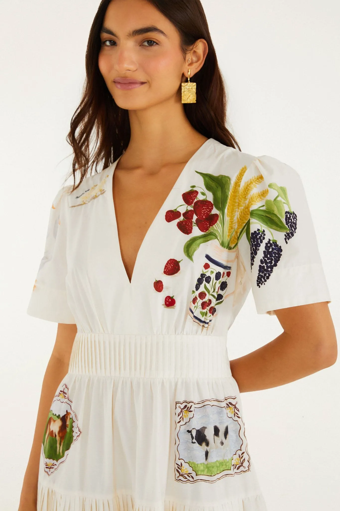 Country Table Winter Short Sleeve Midi Dress sold by FARM Rio product image thumbnail 4
