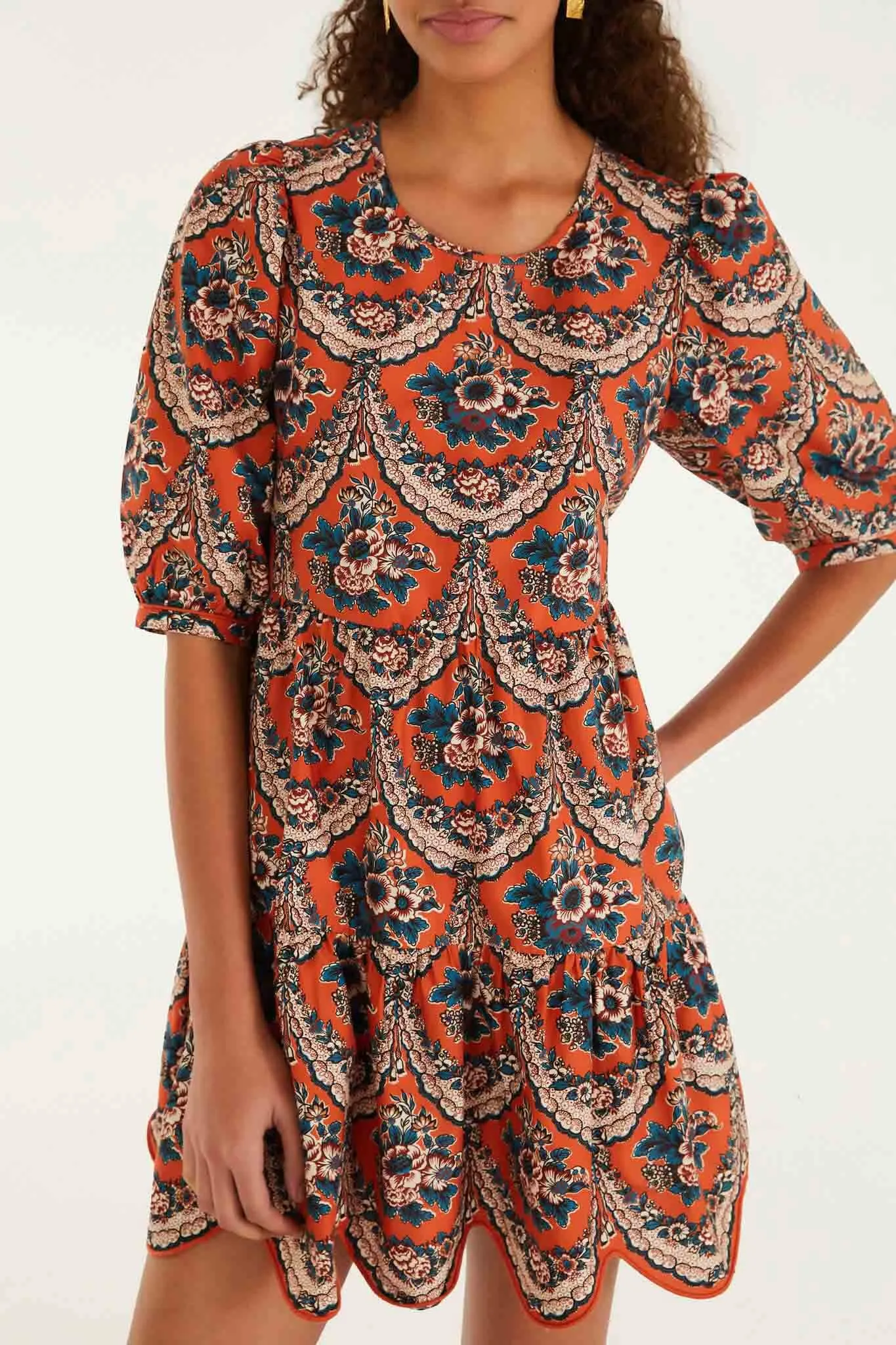 Terracotta Victorian Floral Puff Sleeve Mini Dress sold by FARM Rio product image thumbnail 2