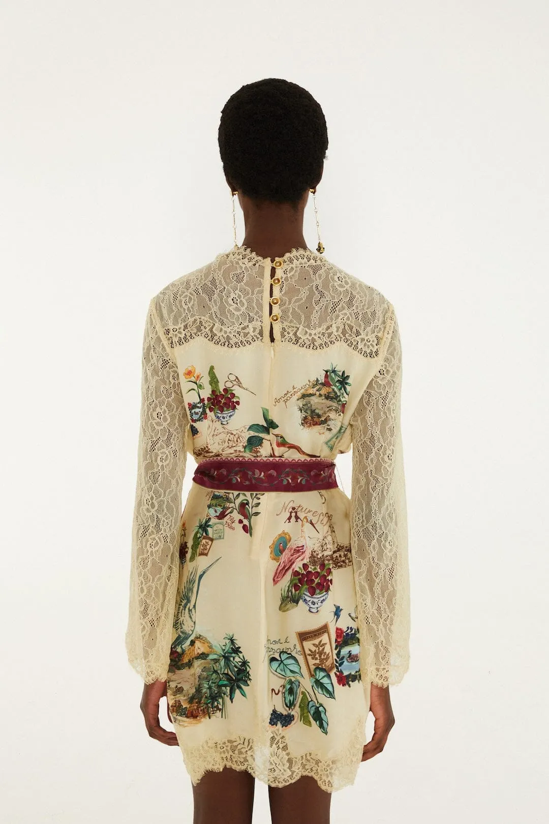 Bird Poetry Lace Long Sleeve Mini Dress sold by FARM Rio product image thumbnail 3