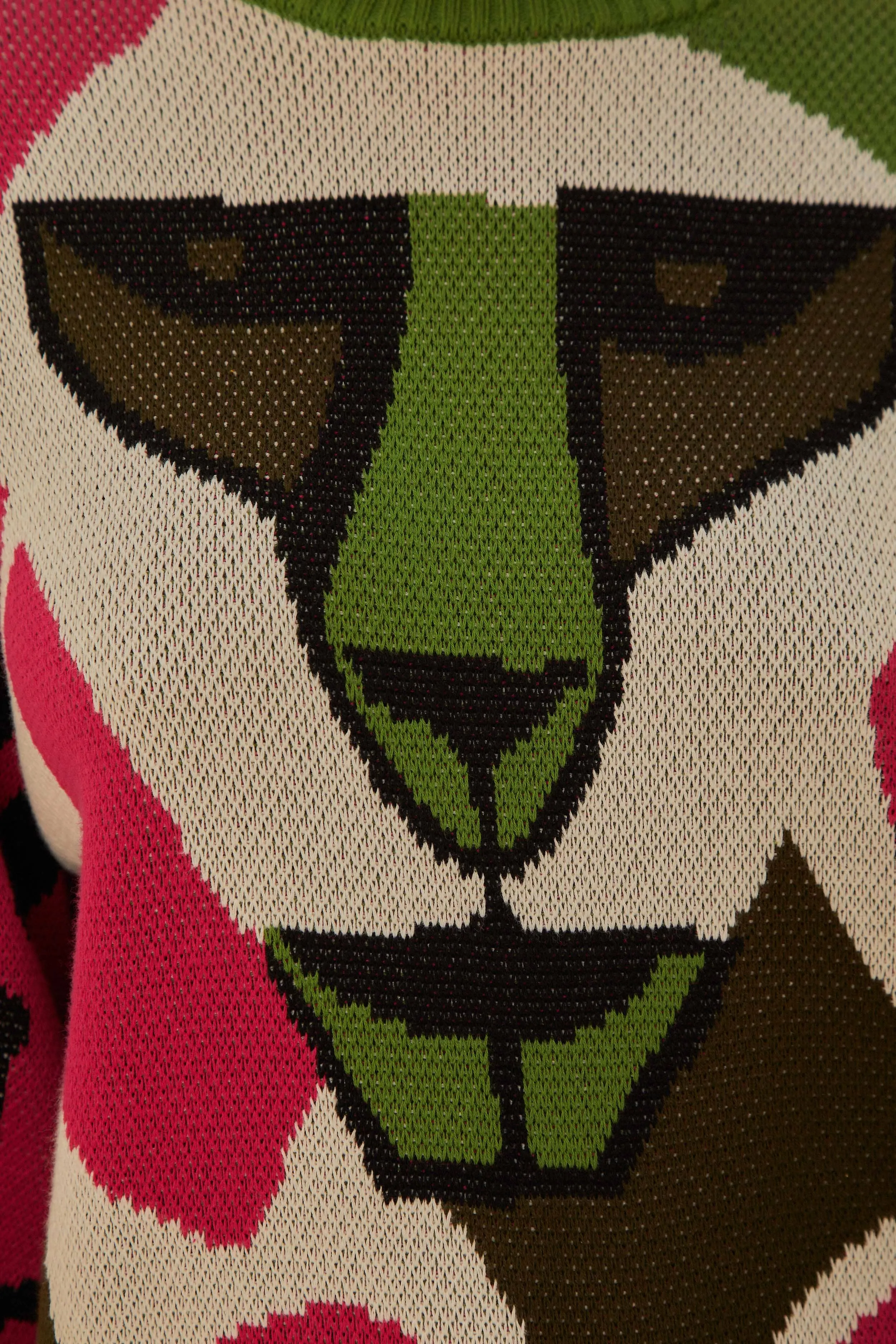 Onca Kambozistica Knit Sweater sold by FARM Rio product image thumbnail 4