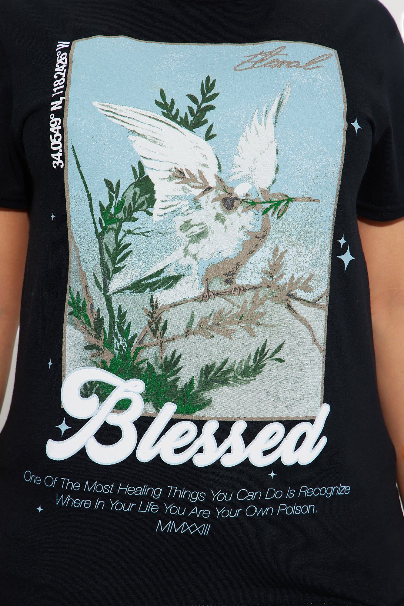 Lifetime Of Blessings Graphic Tee - Black sold by Fashion Nova product image thumbnail 3