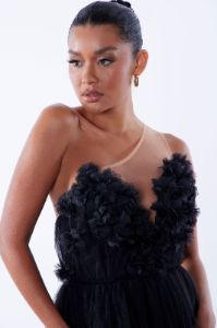 Dahlia Tulle Gown - Black sold by Fashion Nova