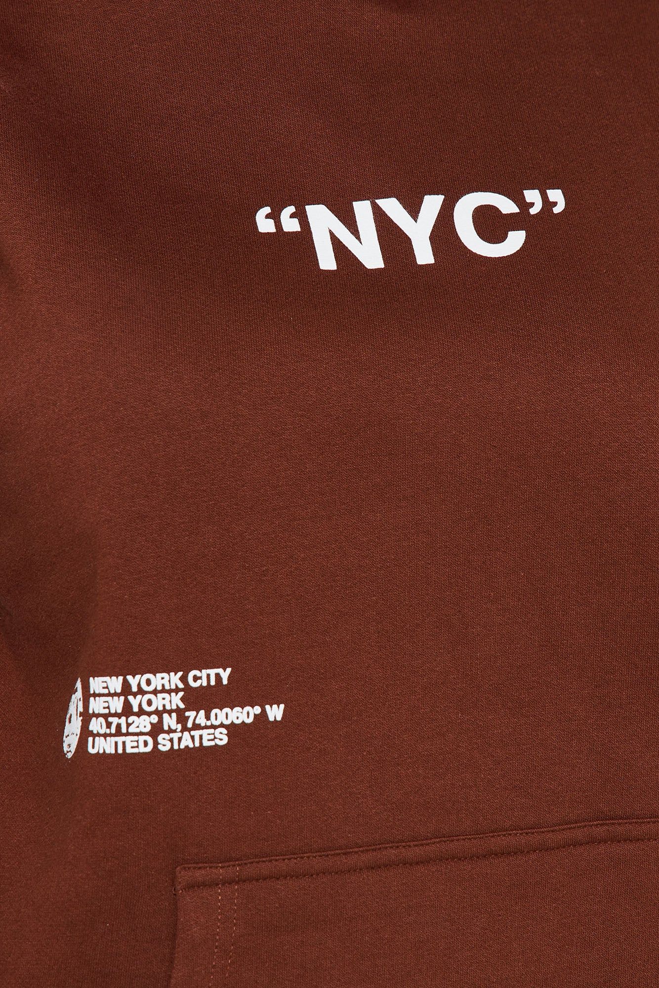 Destination NYC Hoodie - Brown sold by Fashion Nova product image thumbnail 3