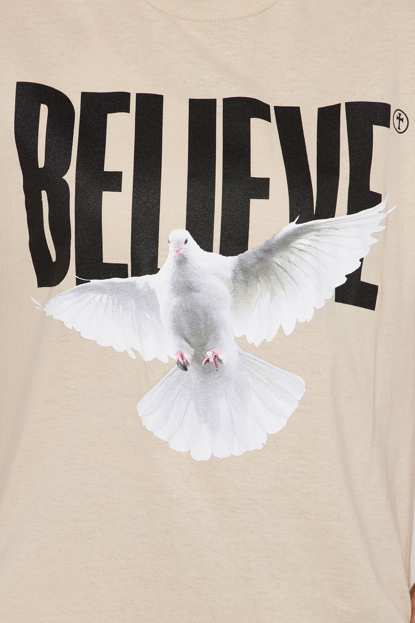 Believe Graphic Tshirt - Taupe sold by Fashion Nova product image thumbnail 3