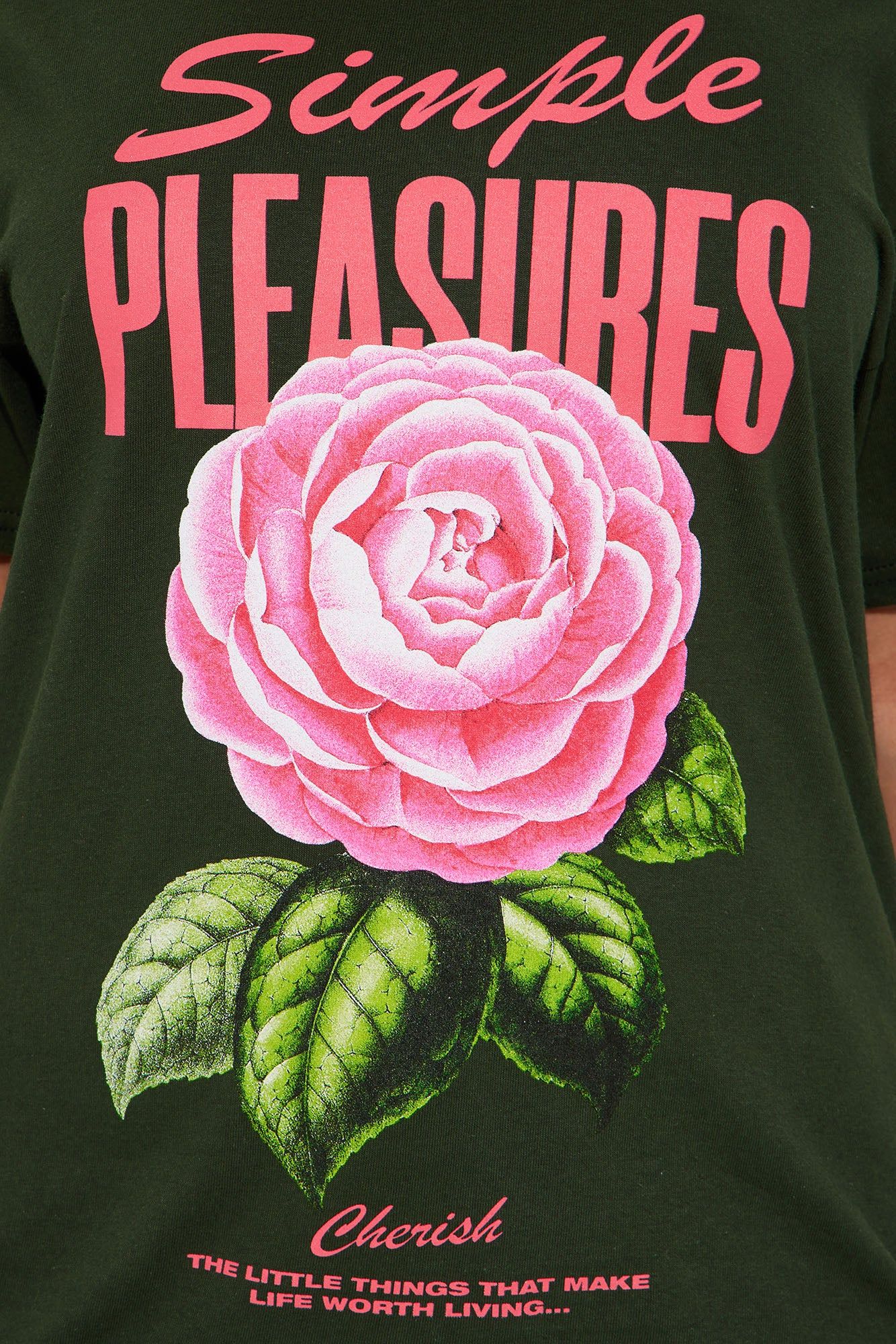 Simple Pleasures Graphic Tshirt - Green sold by Fashion Nova product image thumbnail 3