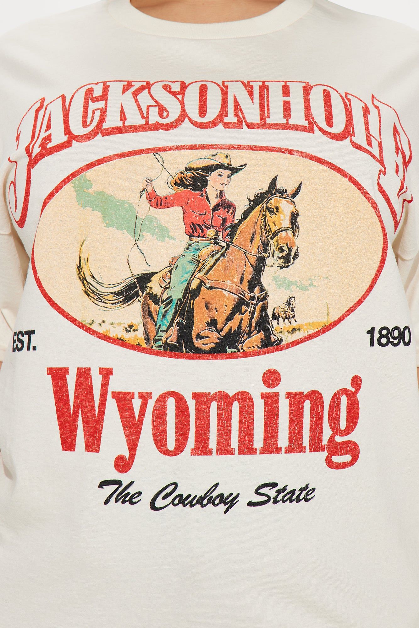 Jacksonhole Wyoming Graphic Tee - Sand sold by Fashion Nova product image thumbnail 2