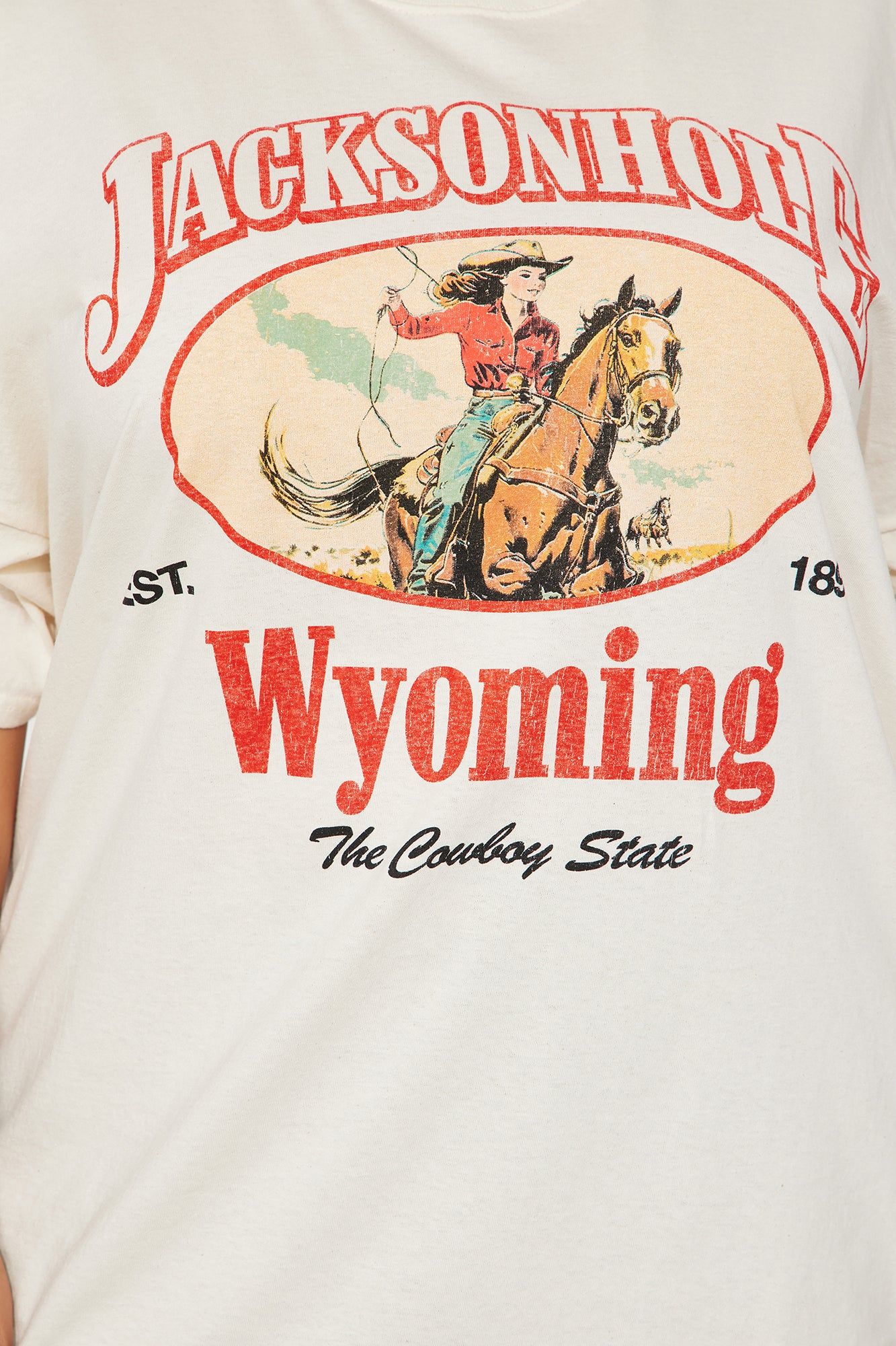 Jacksonhole Wyoming Graphic Tee - Sand sold by Fashion Nova product image thumbnail 5