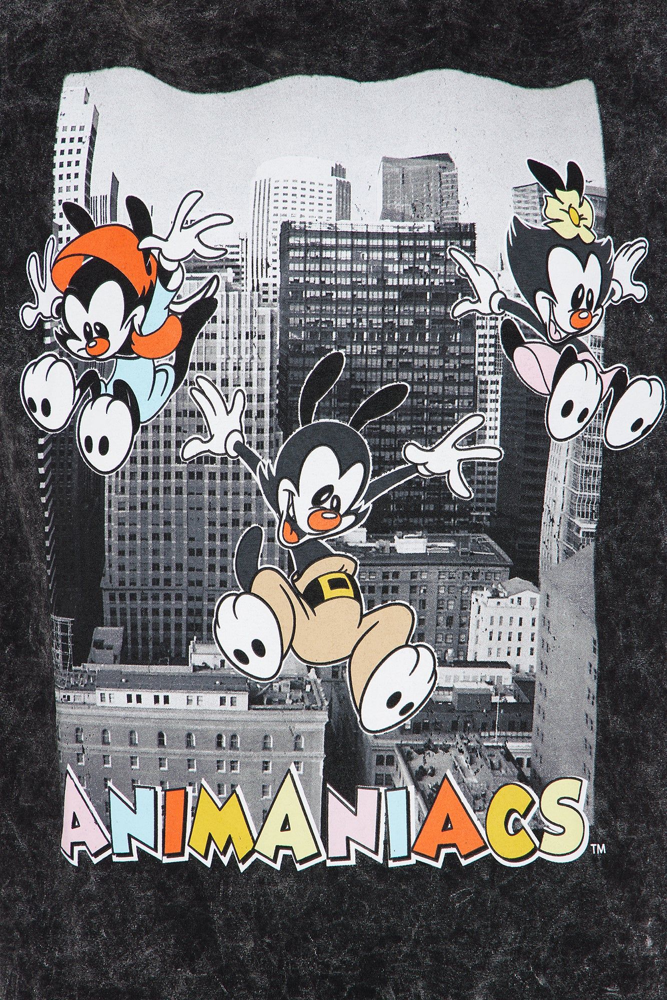 Animaniacs City Graphic Tee - Black Wash sold by Fashion Nova product image thumbnail 3