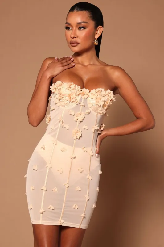 Amelia Rose Corset Mini Dress - Nude sold by Fashion Nova