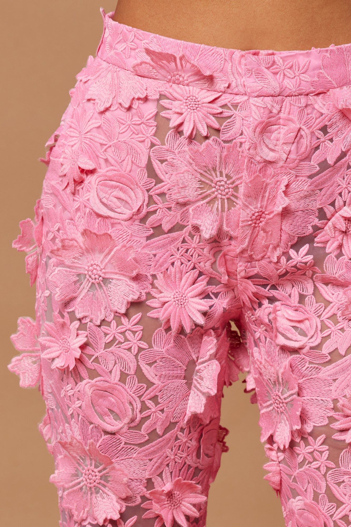 Denise Embroidered Pants - Pink sold by Fashion Nova product image thumbnail 2