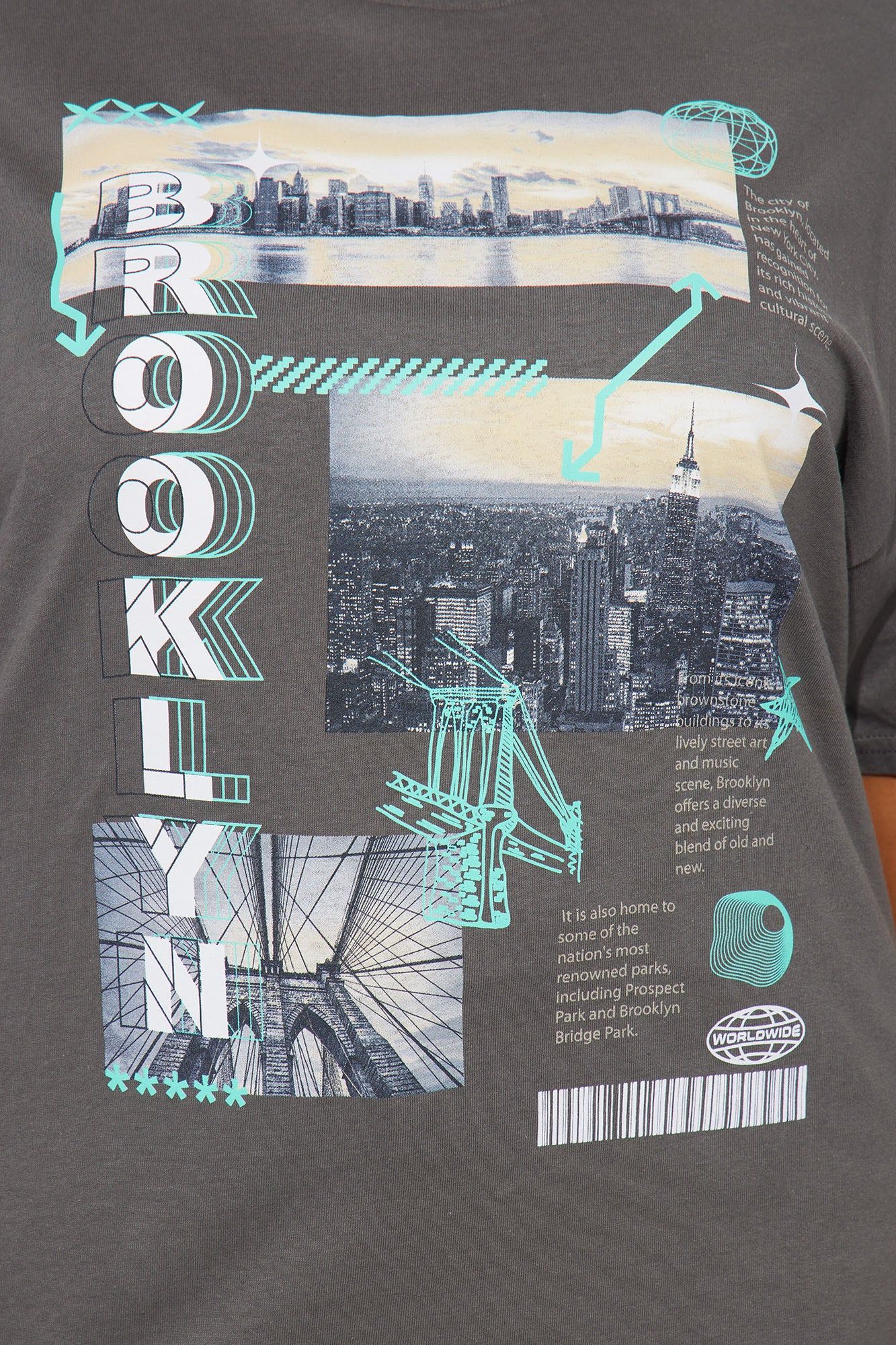 Brooklyn Views Graphic Tee - Charcoal sold by Fashion Nova product image thumbnail 3
