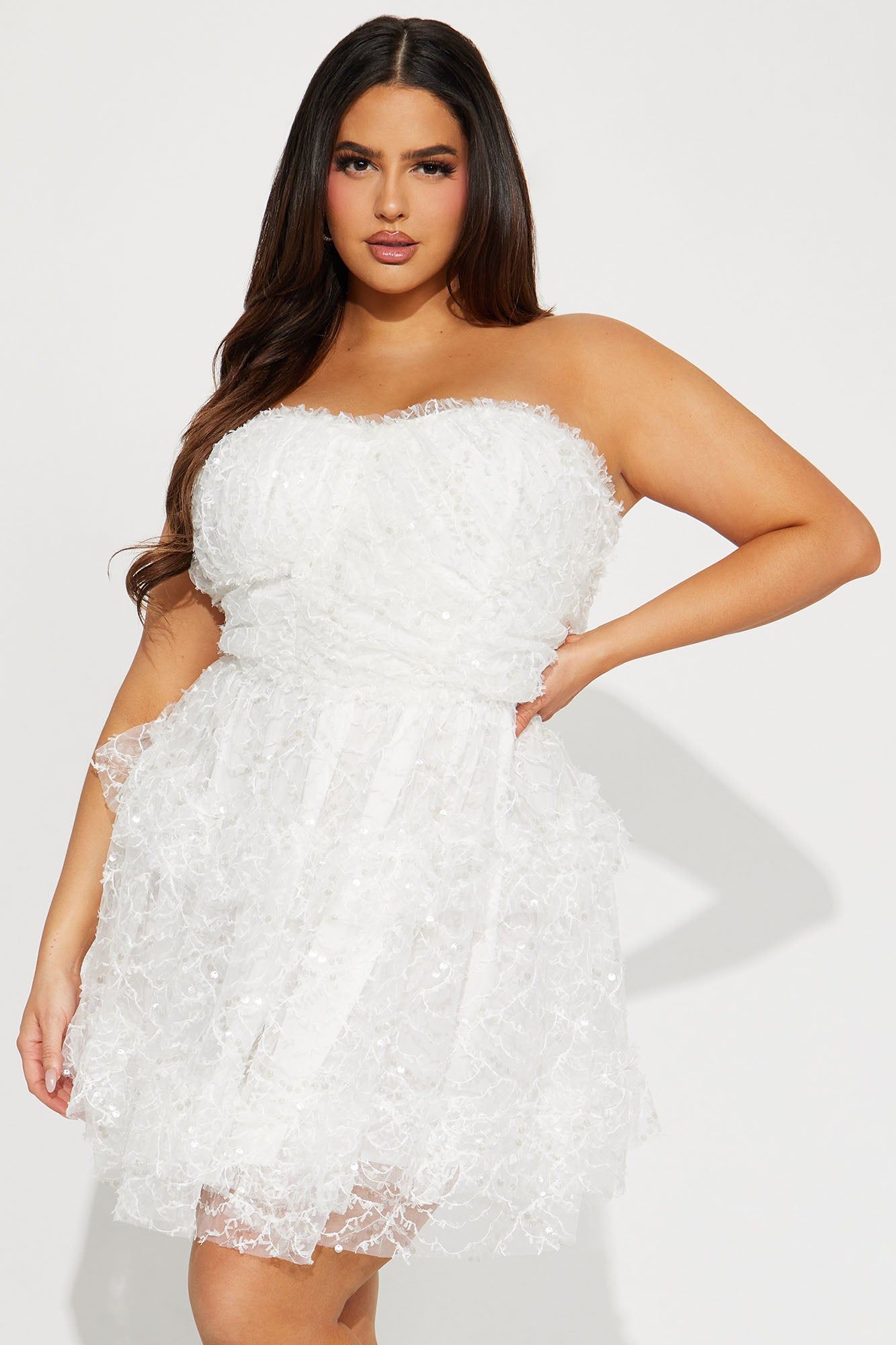 Maya Mesh Embroidery Mini Dress - White sold by Fashion Nova product image thumbnail 4