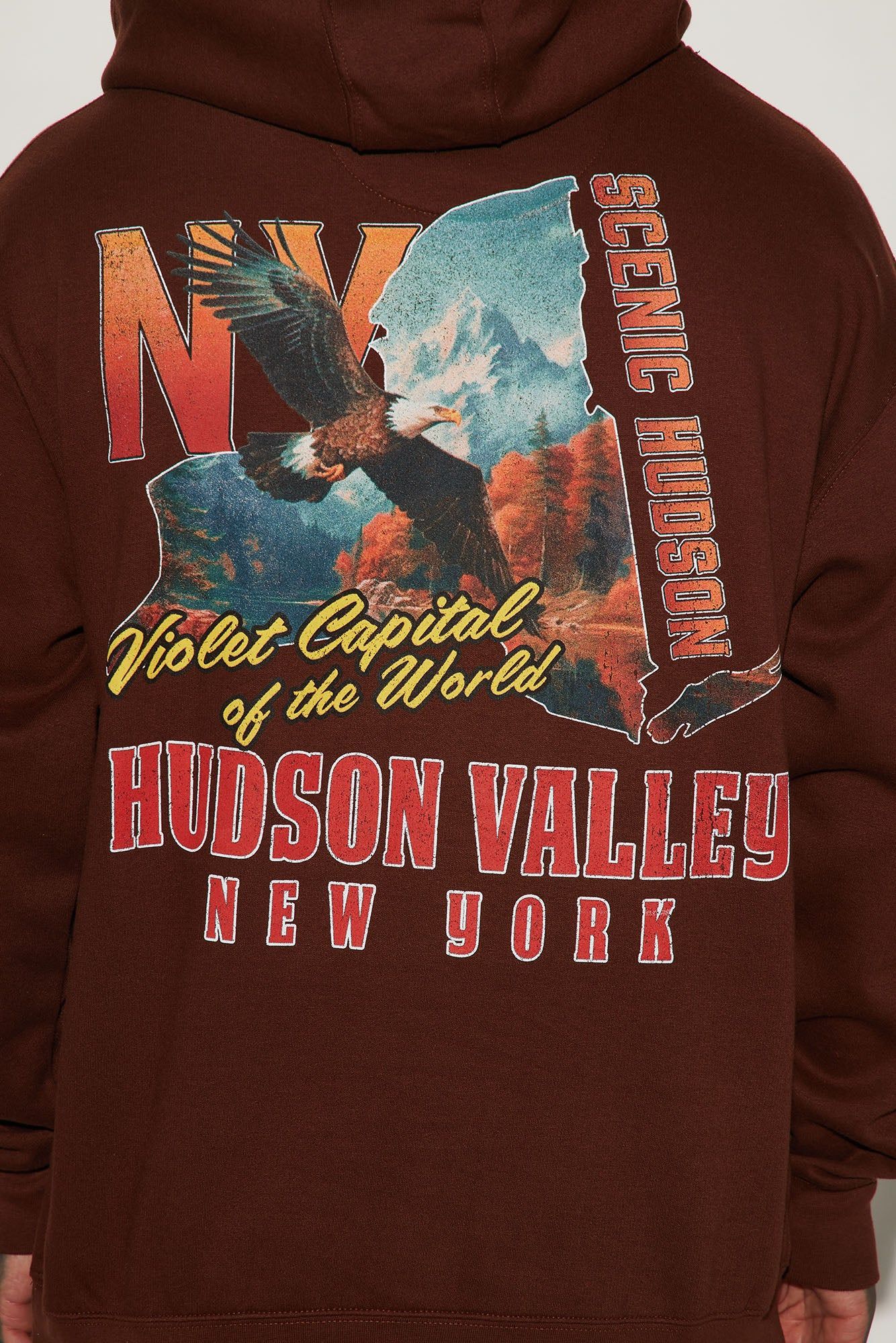 Hudson Valley NY Hoodie - Chocolate sold by Fashion Nova product image thumbnail 5