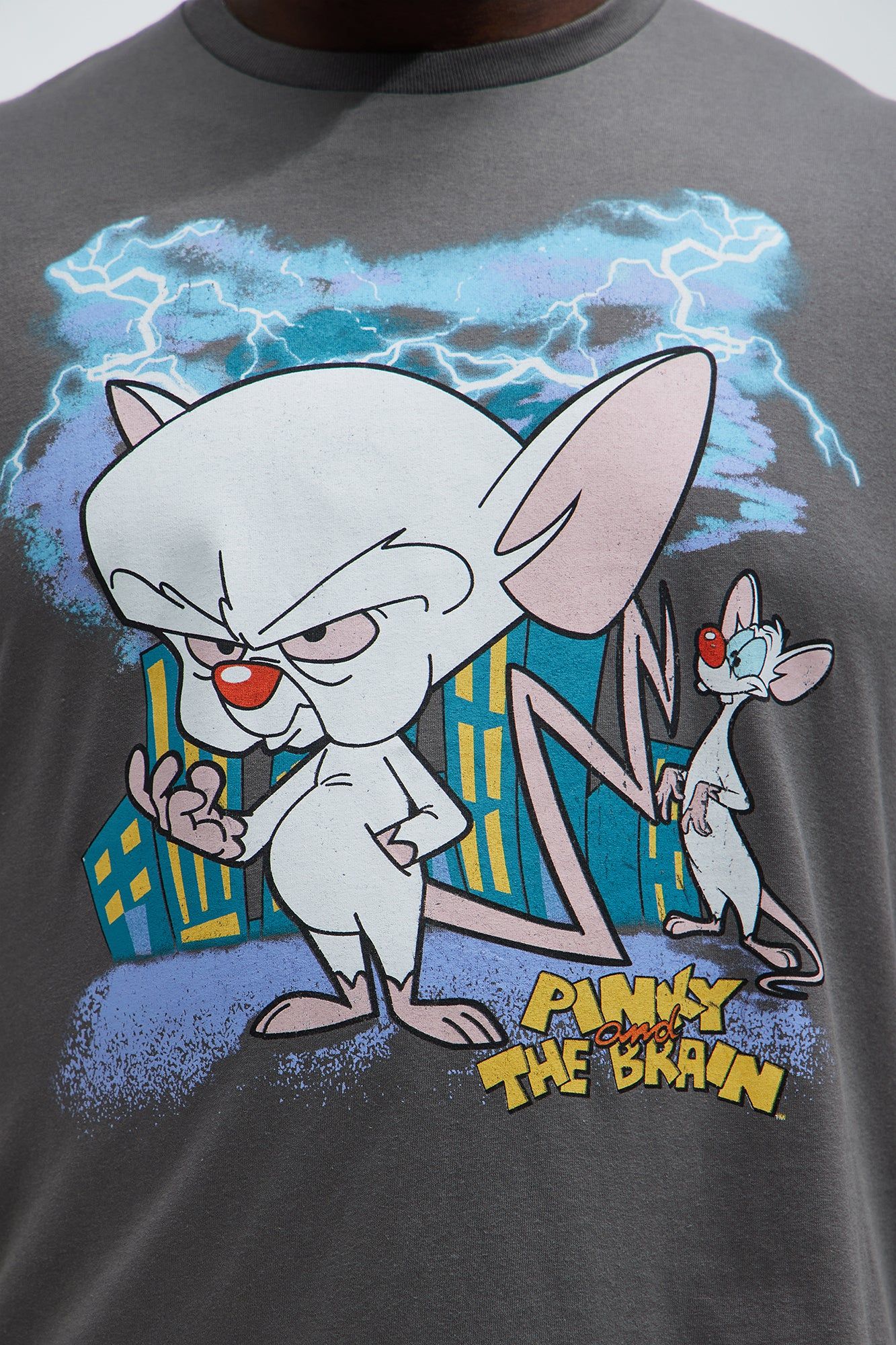 Pinky And The Brain Scheming Short Sleeve Tee - Charcoal sold by Fashion Nova product image thumbnail 5