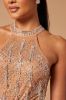 Carmella Embellished Bodysuit - Nude sold by Fashion Nova