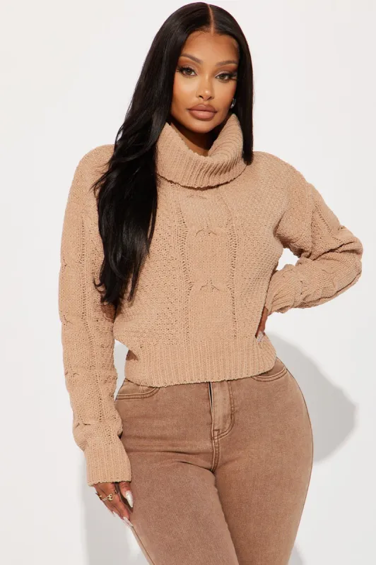 Darlene Turtleneck Sweater - Mocha sold by Fashion Nova