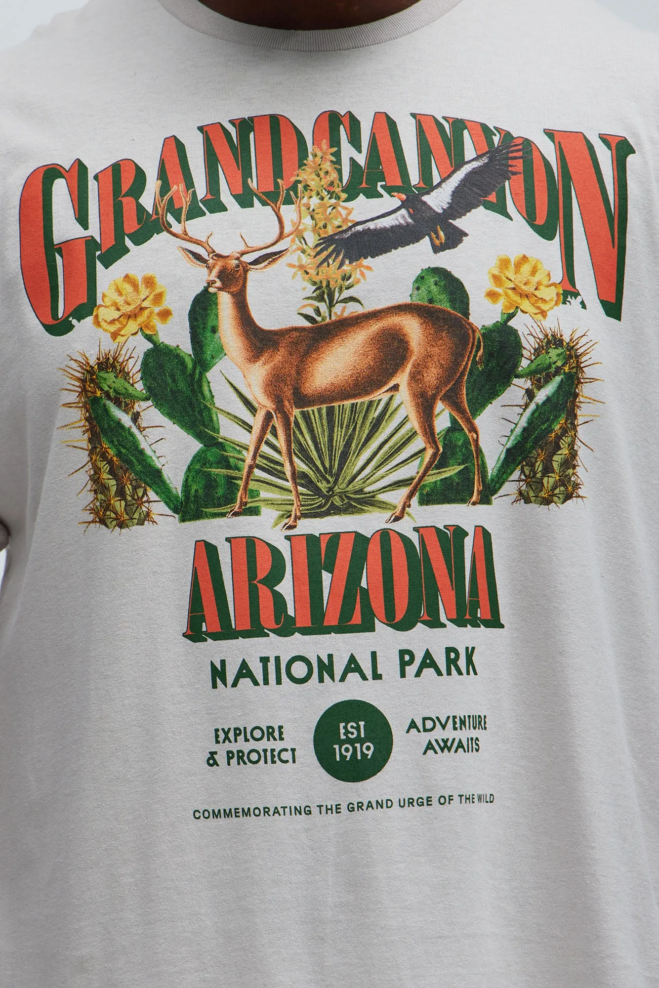 Grand Canyon National Park Short Sleeve Tee - Off White sold by Fashion Nova product image thumbnail 5