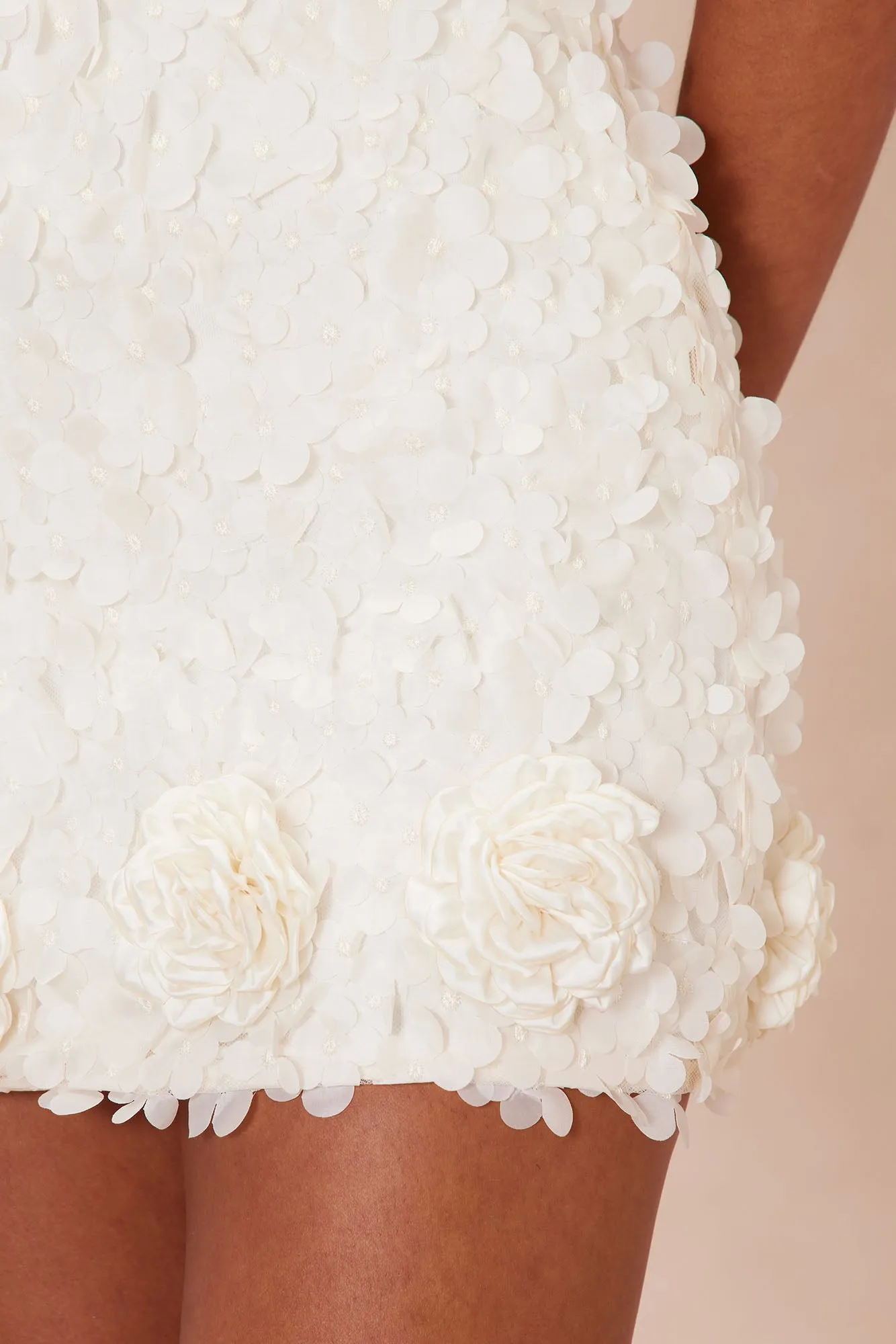 Luisa Floral Applique Mini Dress - Cream sold by Fashion Nova product image thumbnail 3