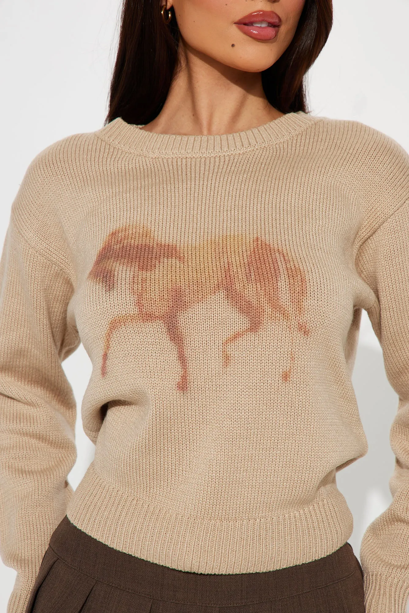 Horse Girl Sweater - Mocha/combo sold by Fashion Nova product image thumbnail 3