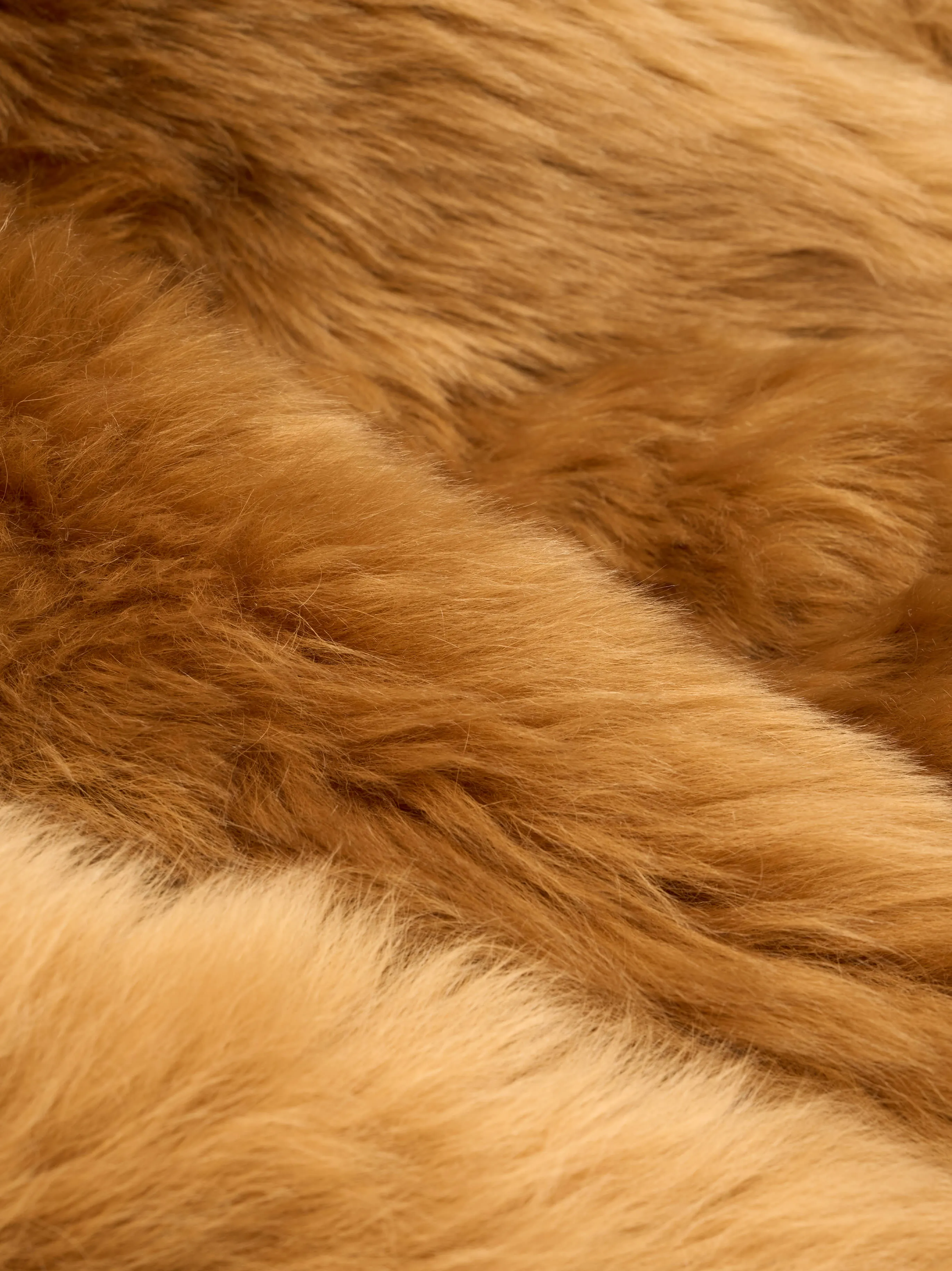 Shearling Hooded Bomber sold by Fear of God product image thumbnail 4