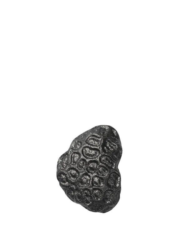 Comber Coral Hook - Blackened Aluminium sold by Ferm Living