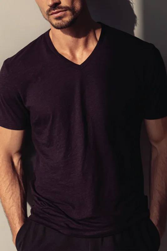 MENS V NECK T-FALL BERRY made by Fidelity