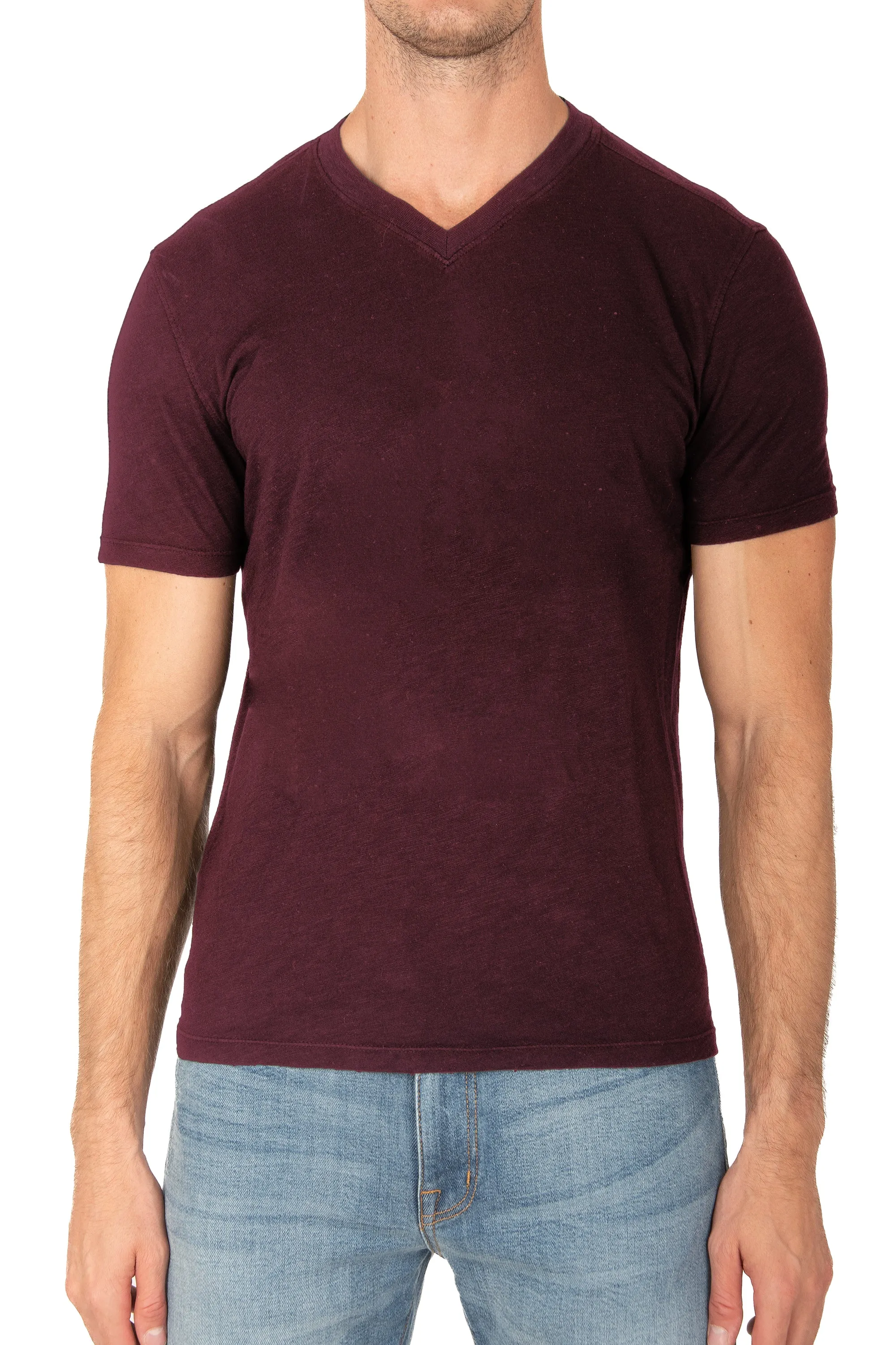 MENS V NECK T-FALL BERRY sold by Fidelity product image thumbnail 2