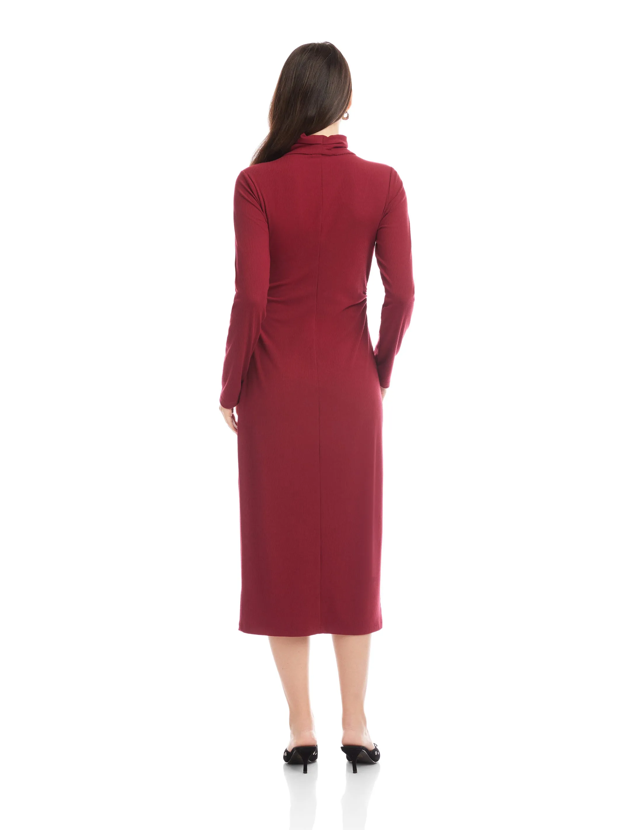 Tasha Turtleneck Midi Dress sold by Fifteen Twenty product image thumbnail 5