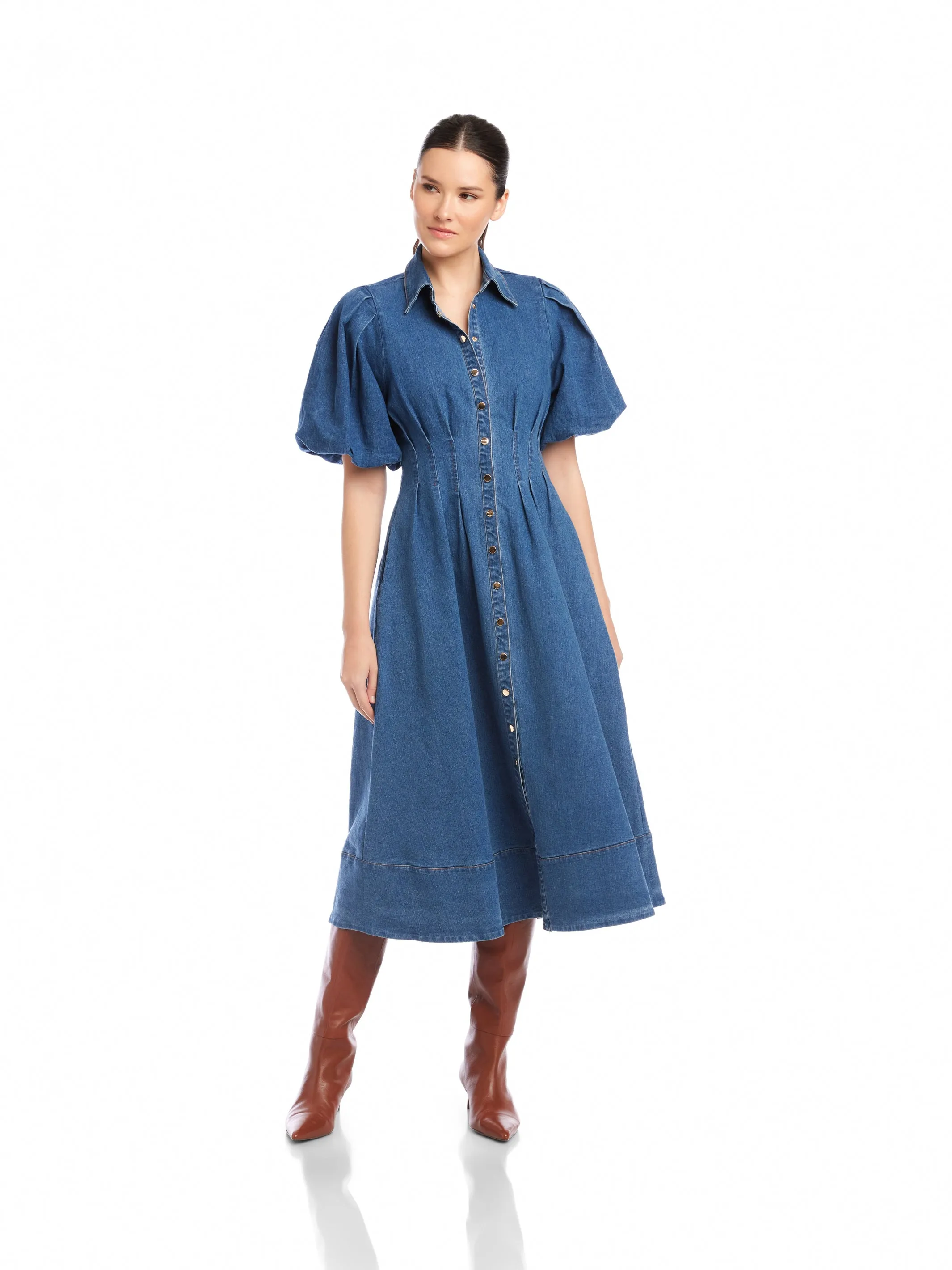 Esme Denim Midi Dress sold by Fifteen Twenty product image thumbnail 4