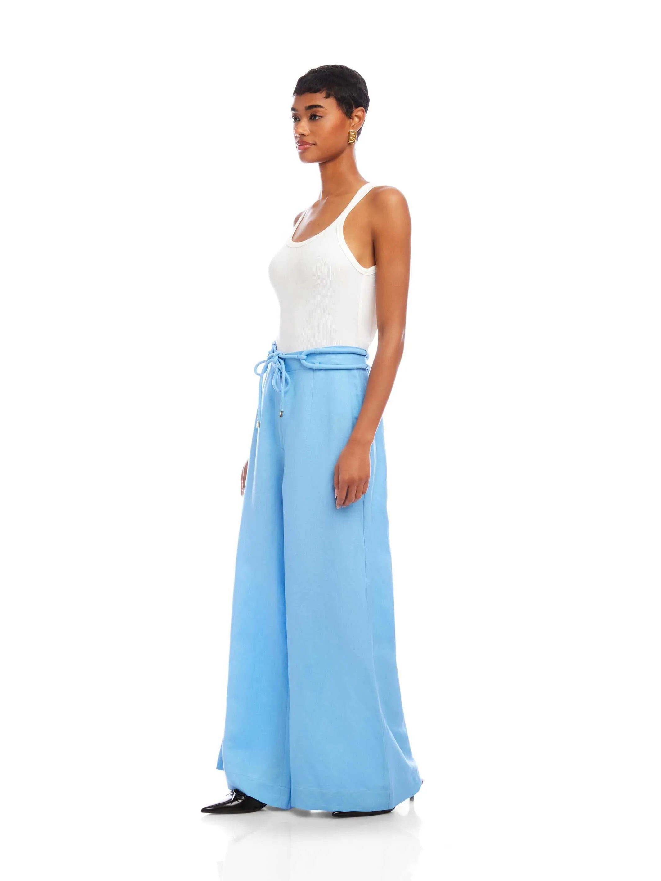 Jana Wide Leg Pants sold by Fifteen Twenty product image thumbnail 5