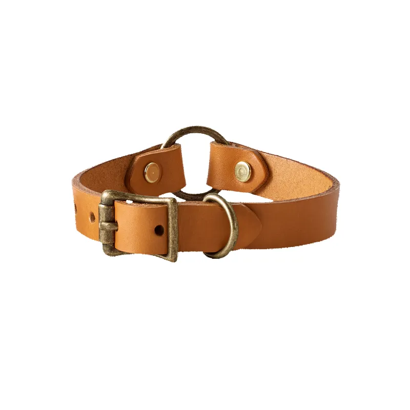 Bridle Leather Puppy Collar - Natural sold by Filson