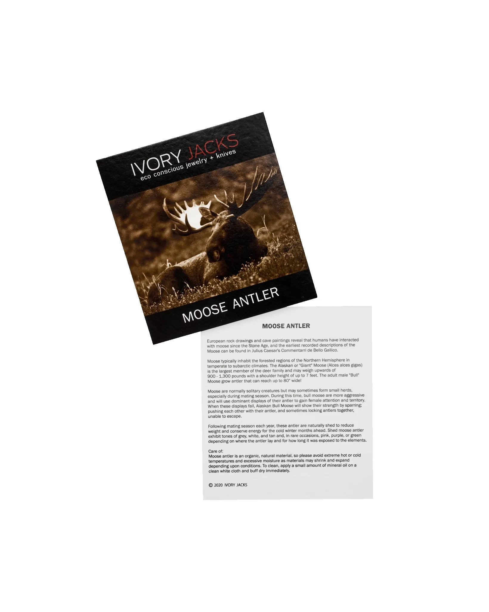 Ivory Jacks Moose Antler Bangle - Brown sold by Filson product image thumbnail 5