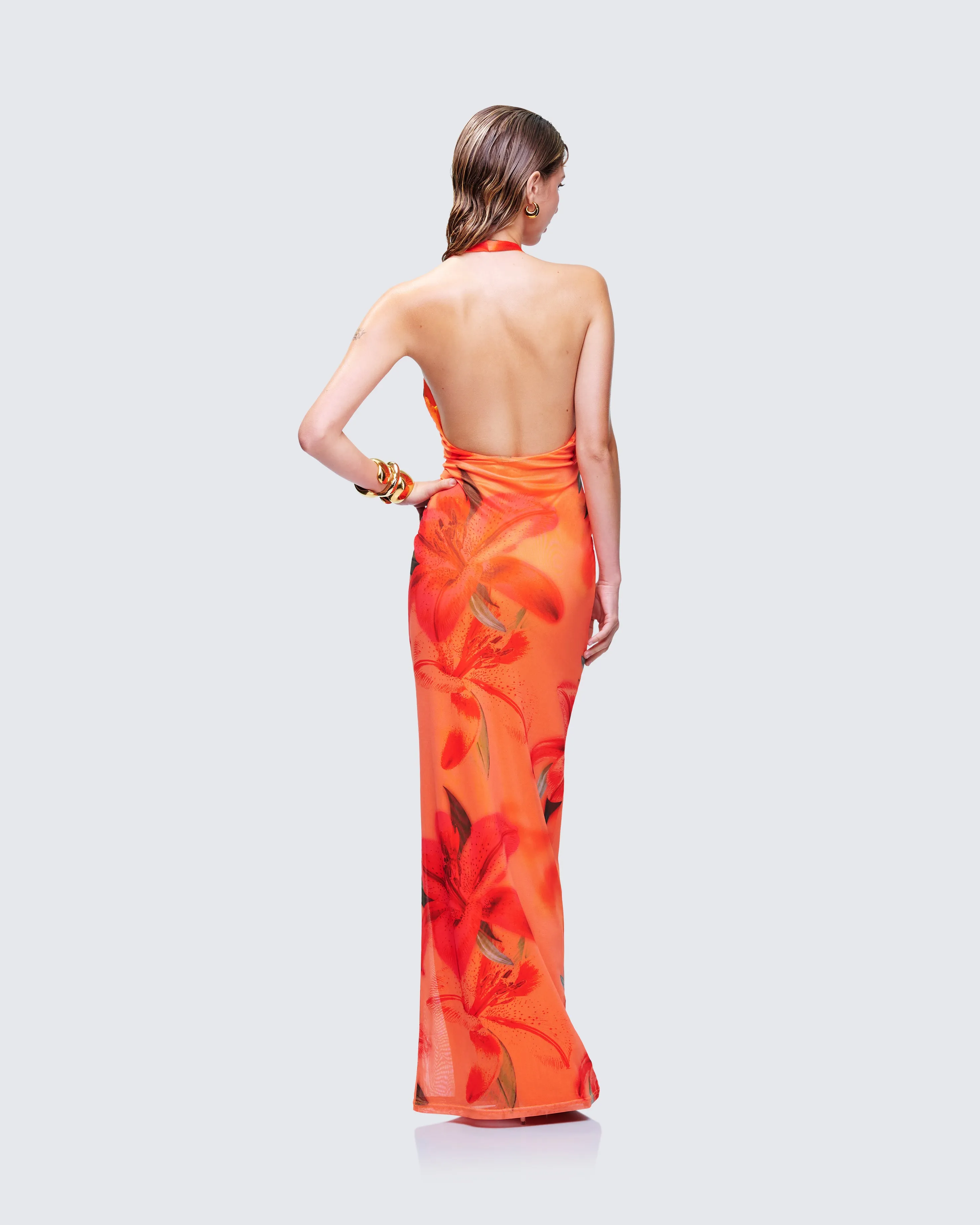 Evana Multi Printed Mesh Maxi Dress sold by Finesse product image thumbnail 5