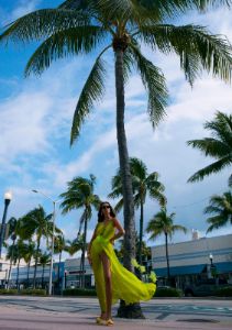 Lina Maxi Dress sold by For Love And Lemons