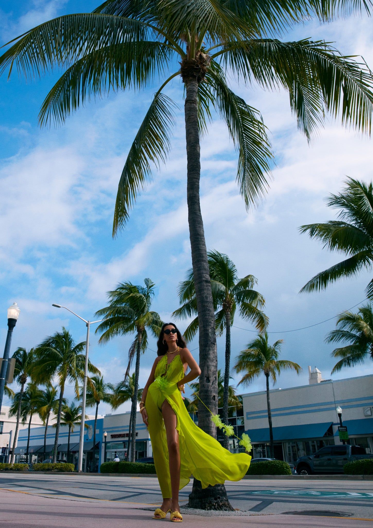 Lina Maxi Dress sold by For Love And Lemons product image thumbnail 7