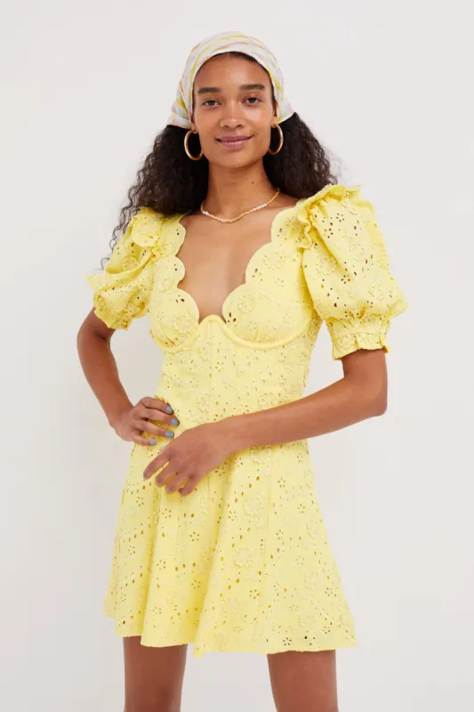 Natalia Puff Sleeve Mini Dress sold by For Love And Lemons