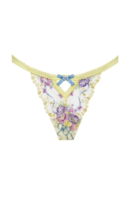 Lavender Meadows Embroidery Thong Panty sold by For Love And Lemons