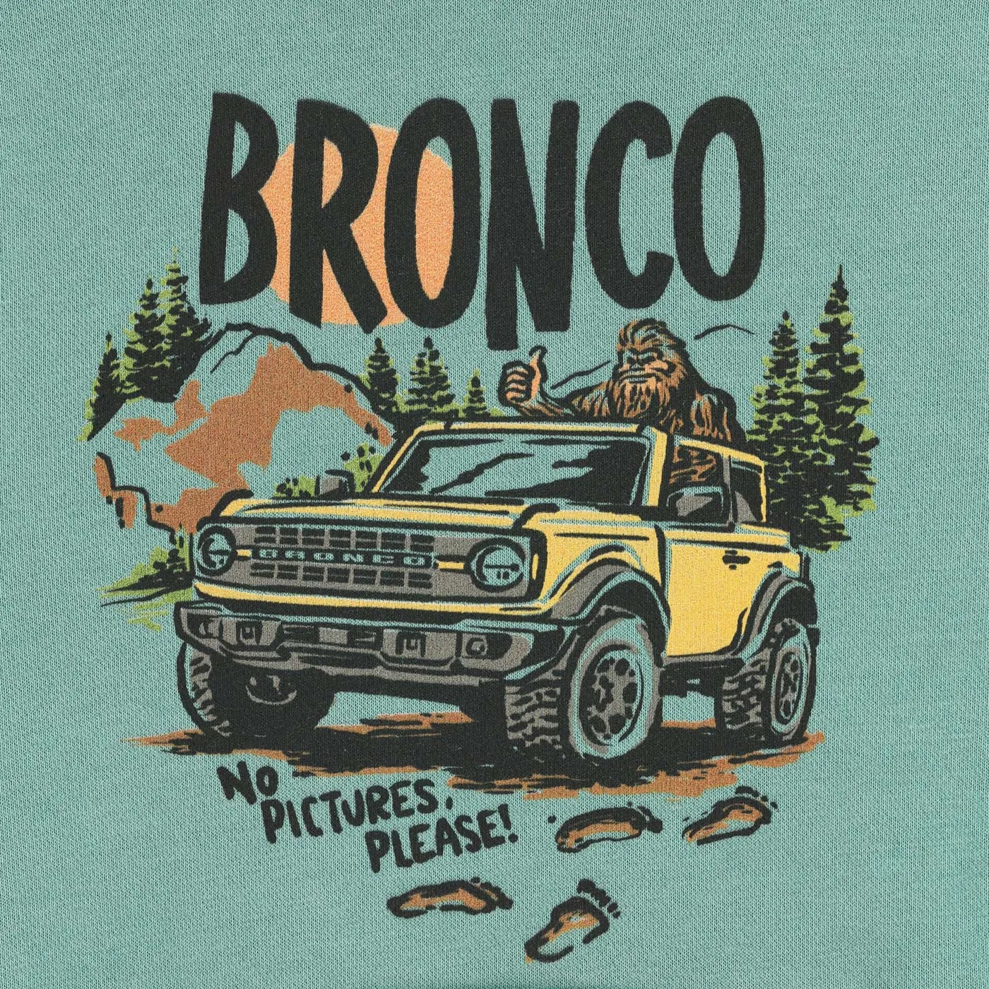 Ford Bronco Sasquatch No Pictures Please Youth Hoodie sold by Ford product image thumbnail 3