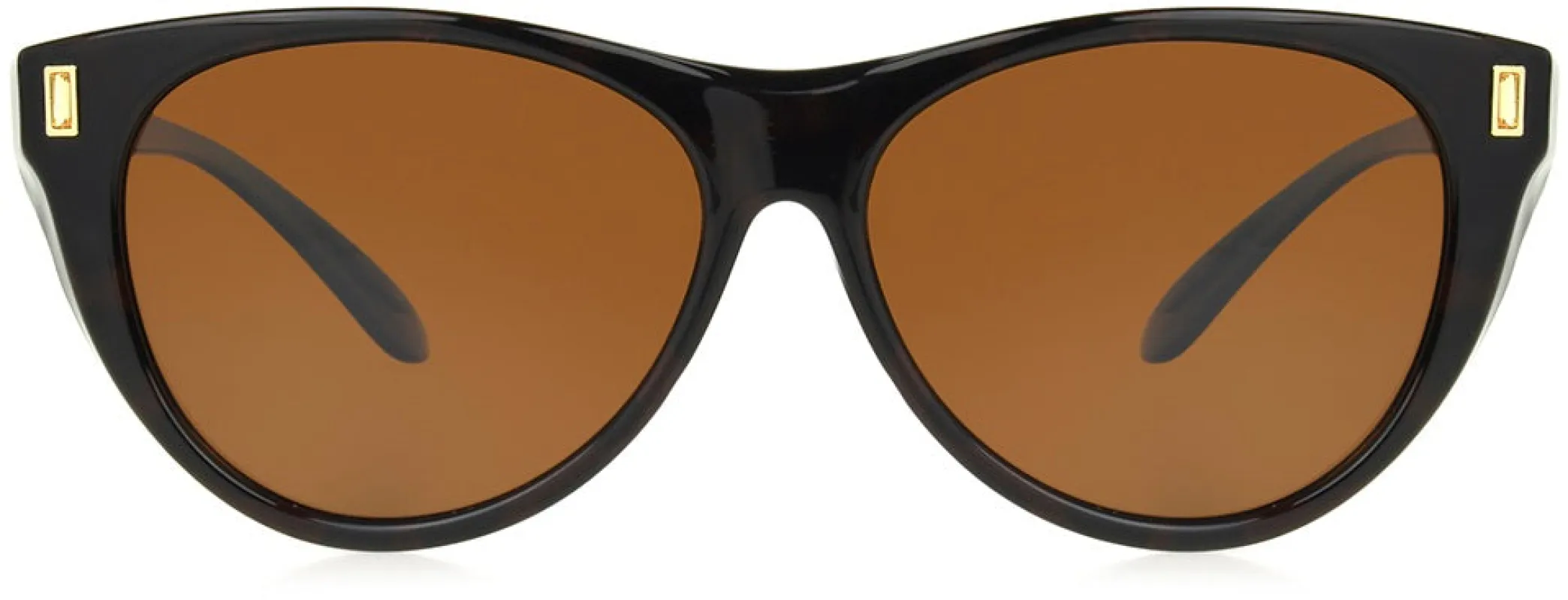 Kitten sold by Foster Grant